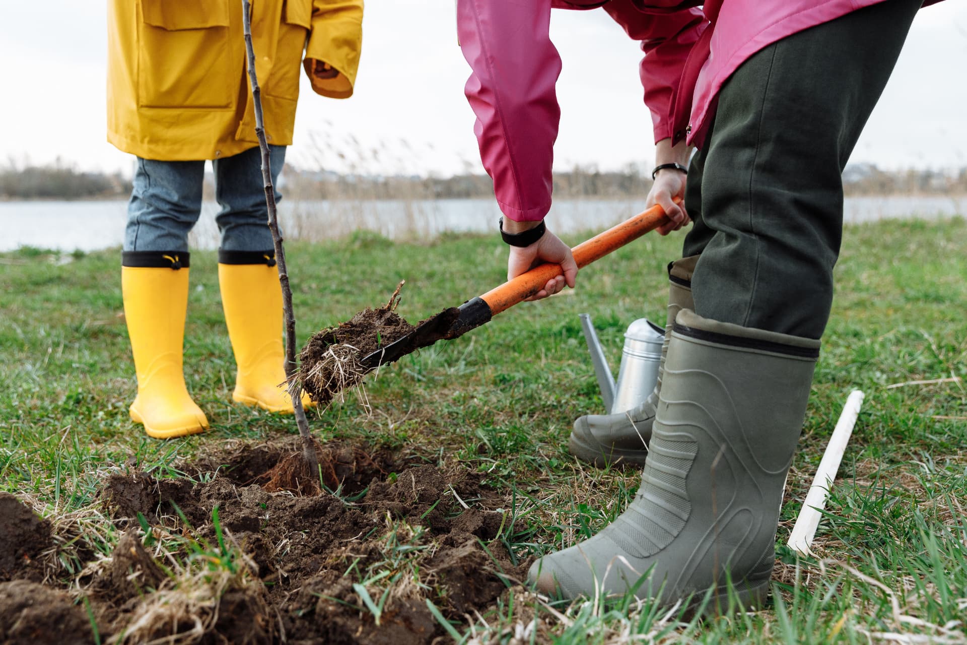 Two people planting a tree in a field, one scooping soil with a shovel